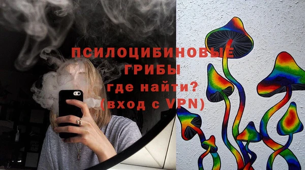 стаф Балахна