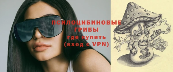 стаф Балахна