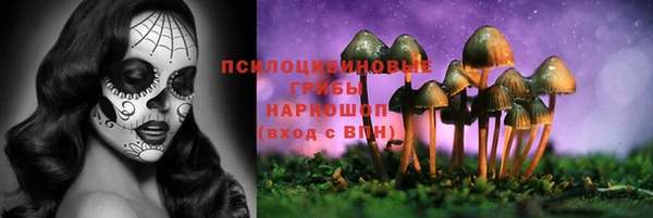 стаф Балахна