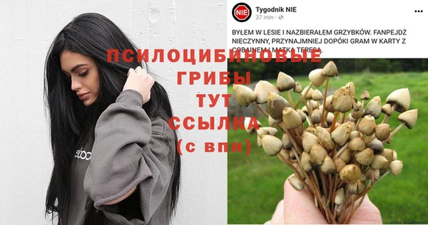 хмурый Баксан
