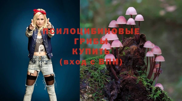 хмурый Баксан