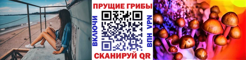 Галлюциногенные грибы мицелий  Ленск 